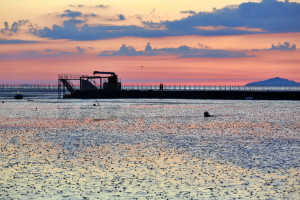 무안해제선착장